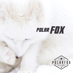 Flyer Polar Fox 300g/m²